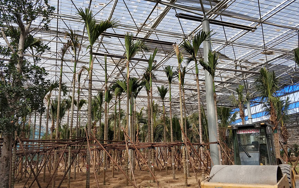北方熱帶植物園燃氣輻射采暖系統(tǒng)