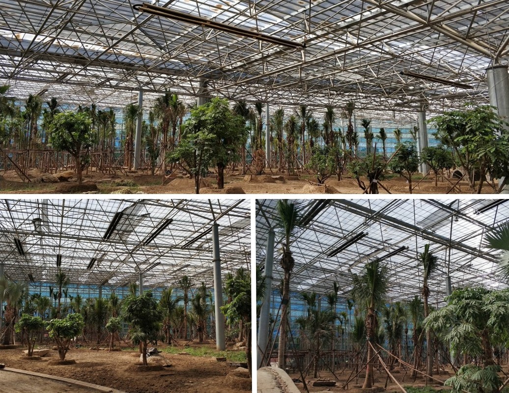 北方熱帶植物園燃?xì)馊∨O(shè)備.jpg